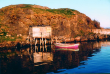 505: Red Island harbour. Jim Corrigan's old stage, and the old herring factory at right. (circa 2000) [courtesy of Madonna (Bishop) Mulrooney]